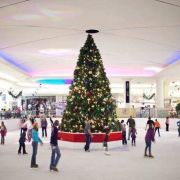 41 Things to Do with Kids in Montgomery, AL | TripBuzz