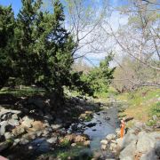 Dog Friendly Hotels Near La Mirada Ca Dog Friendly Hotels Near La Mirada Ca