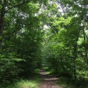 Kids Things To Do Sugarland Kids Things To Do Sugarland