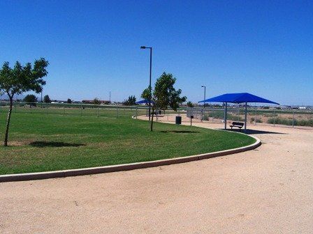 Roscoe, Goodyear, Dog Park