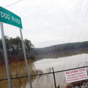 Dog Parks In Villa Rica Ga Dog Parks In Villa Rica Ga